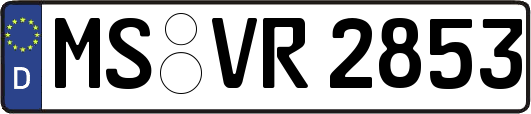 MS-VR2853