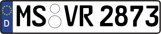 MS-VR2873