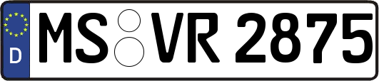 MS-VR2875