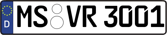 MS-VR3001