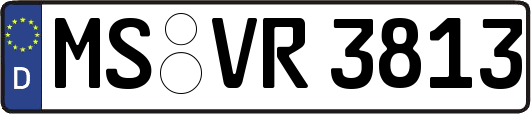 MS-VR3813