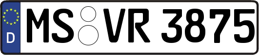MS-VR3875