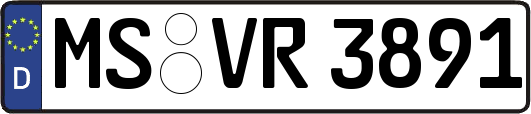 MS-VR3891