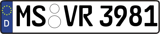 MS-VR3981