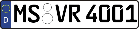 MS-VR4001