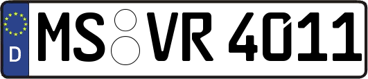 MS-VR4011