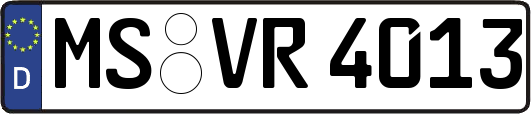 MS-VR4013