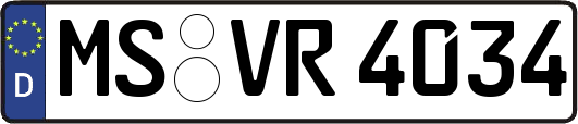 MS-VR4034