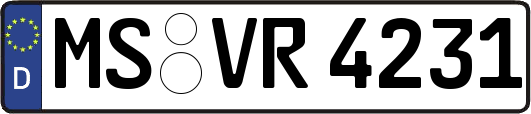 MS-VR4231