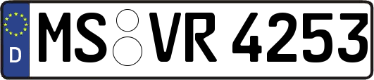 MS-VR4253