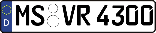 MS-VR4300