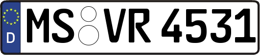 MS-VR4531