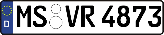 MS-VR4873