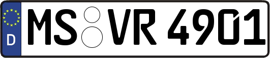 MS-VR4901
