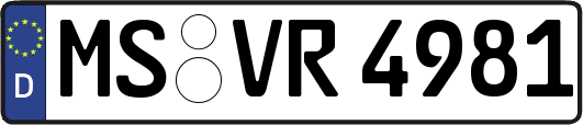 MS-VR4981