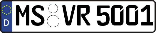 MS-VR5001
