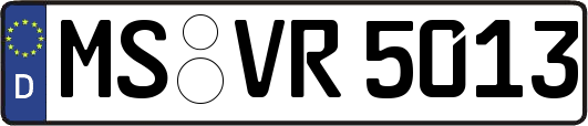 MS-VR5013