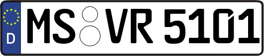 MS-VR5101
