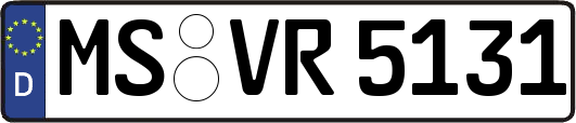 MS-VR5131