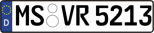 MS-VR5213