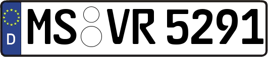 MS-VR5291