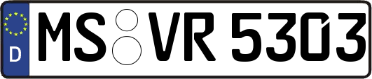MS-VR5303
