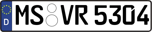 MS-VR5304