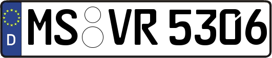 MS-VR5306