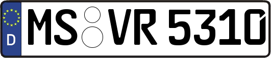 MS-VR5310