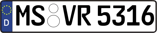 MS-VR5316