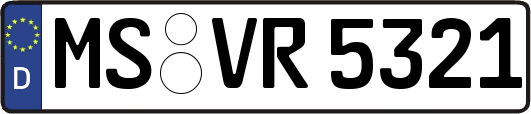 MS-VR5321