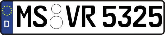 MS-VR5325
