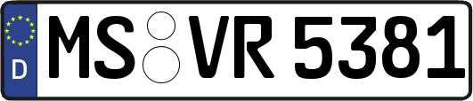 MS-VR5381