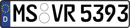 MS-VR5393