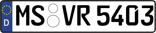 MS-VR5403