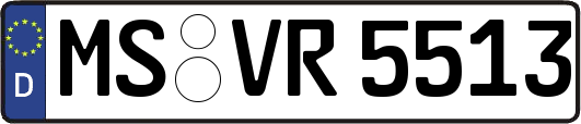 MS-VR5513