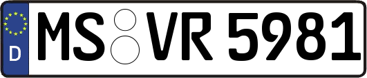 MS-VR5981