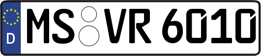 MS-VR6010