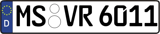 MS-VR6011
