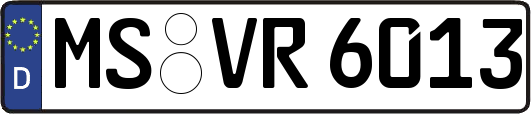 MS-VR6013