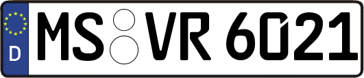 MS-VR6021