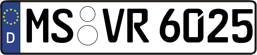 MS-VR6025