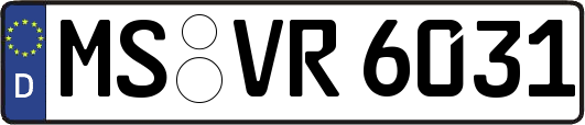 MS-VR6031
