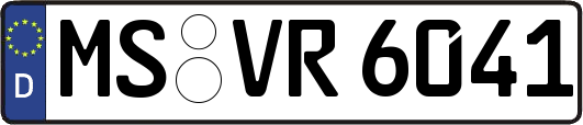 MS-VR6041
