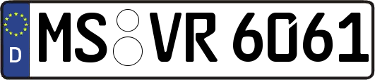 MS-VR6061