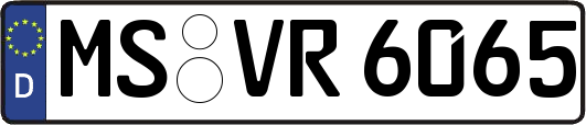 MS-VR6065