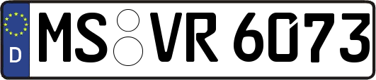 MS-VR6073