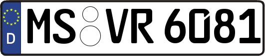 MS-VR6081