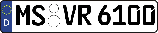 MS-VR6100