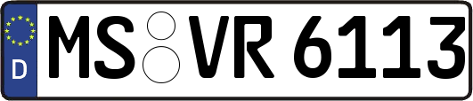 MS-VR6113